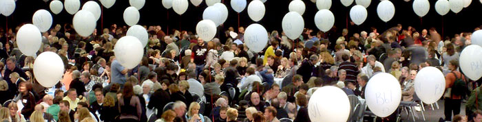 Þjóðfundur 2009 crowd