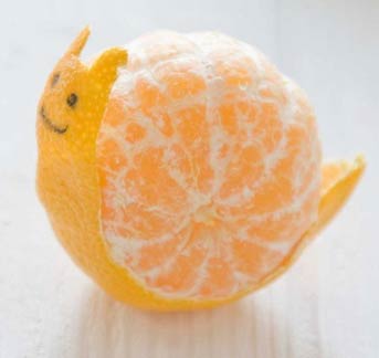 orange-snail