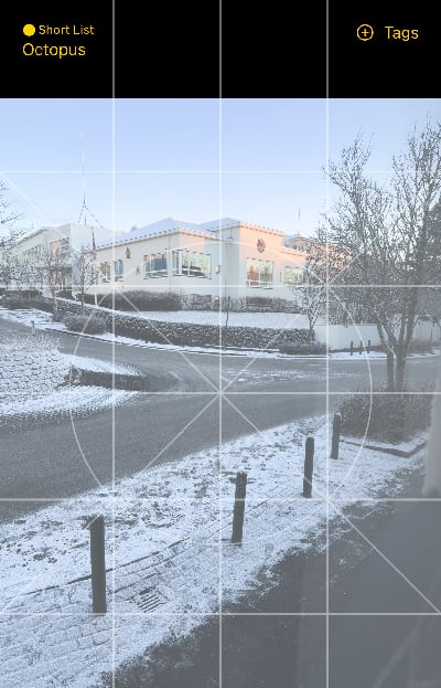 Camalut screenshot using the octopus filter