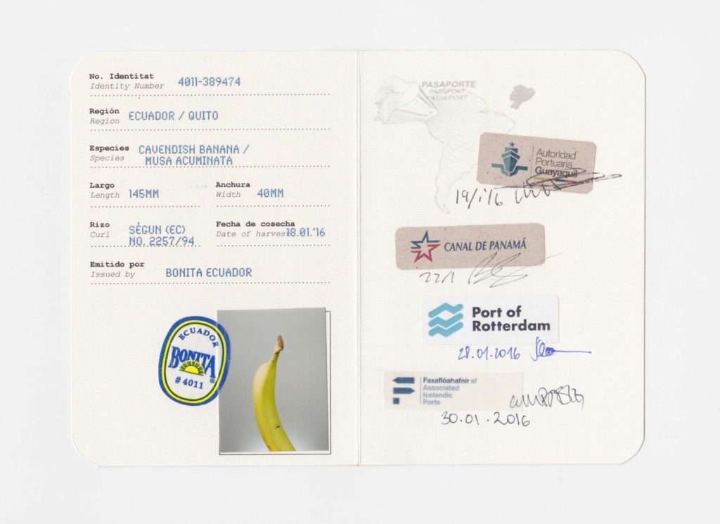 Banana Passport