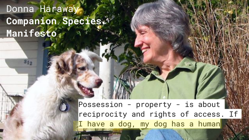 Donna Haraway Quote