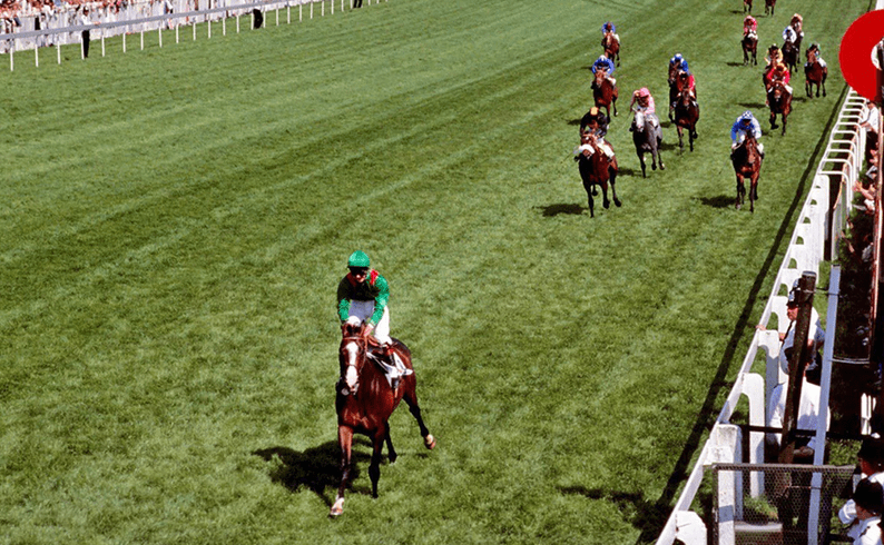 Shergar winning by 10 lengths in 1981