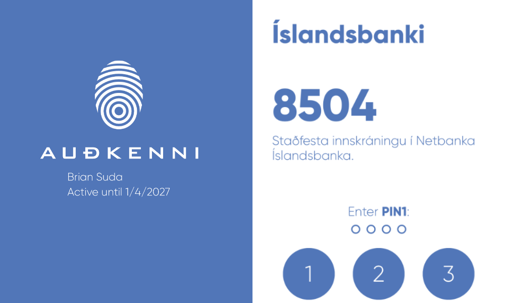 Auðkenni app example. You register the app and when you login you are prompted for your PIN to login.