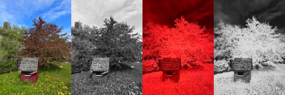 Four image collage of the same back garden