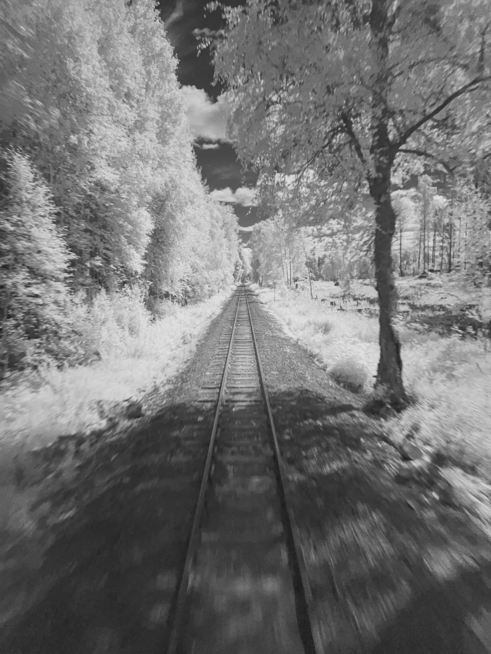 motion blurred black and white Infrared image from the back of a train showing the train tracks.