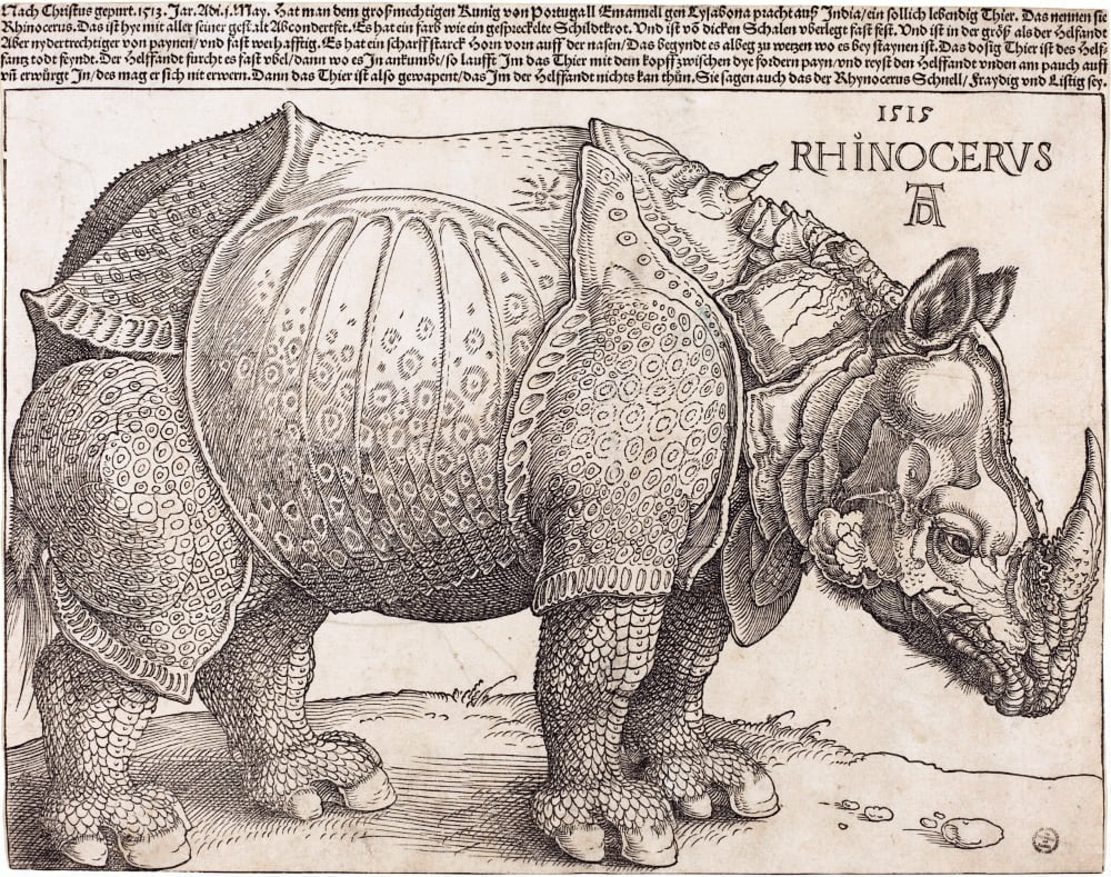 A woodcut depicting what they thought a rhinoceros looked like in 1515 based on oral information.
