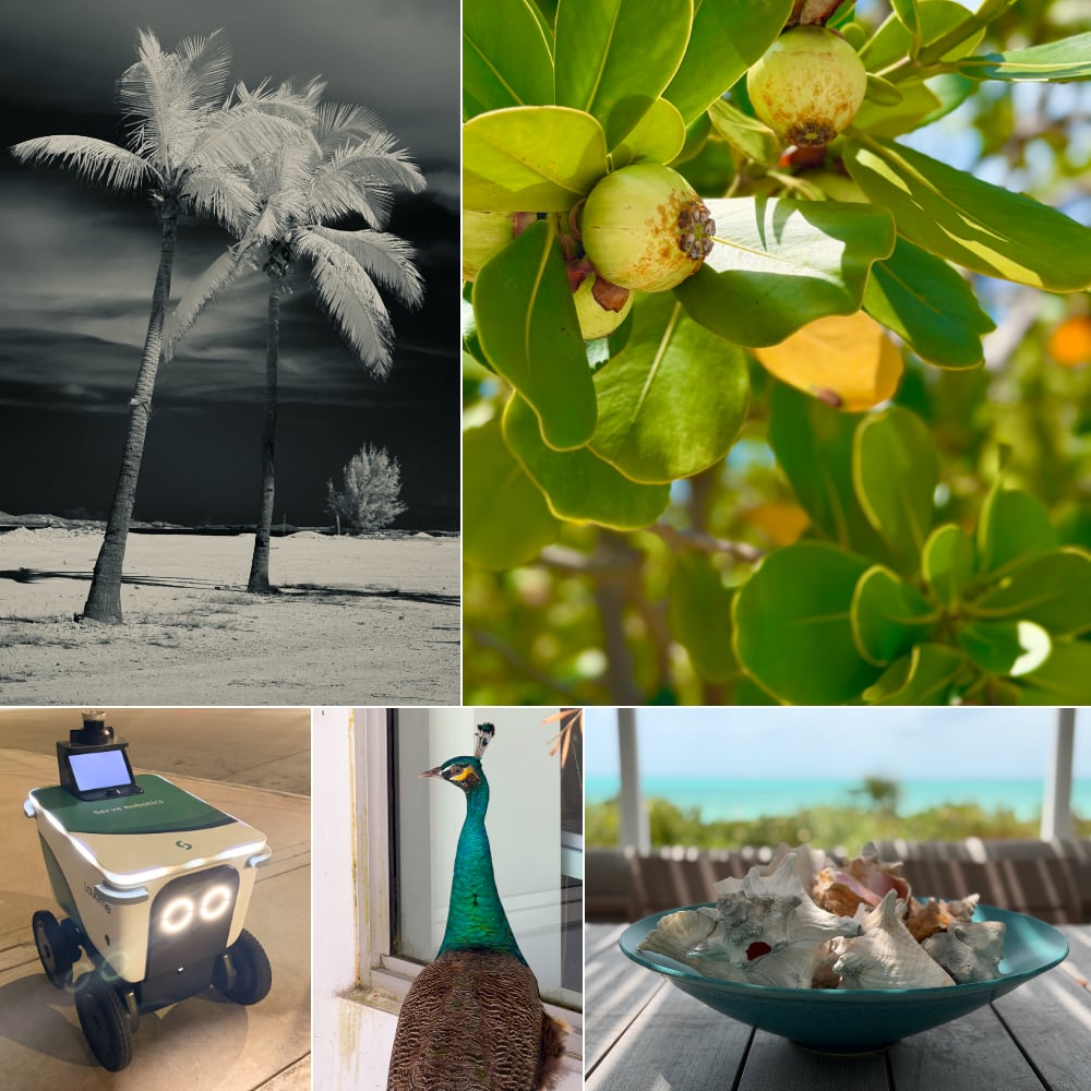 Collage of images from the Miami Trip