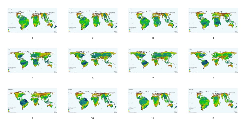 Frames from the Worldmapper Nature's Heartbeat video